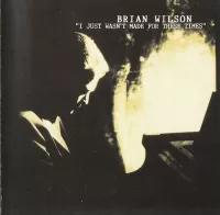 Brian Wilson - I just wasn't made for these times