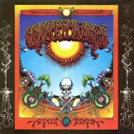 The Grateful Dead - AOXOMOXOA