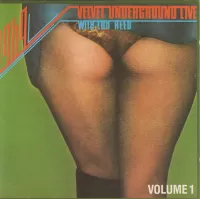 The Velvet Underground - Live with Lou Reed