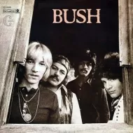 BUSH